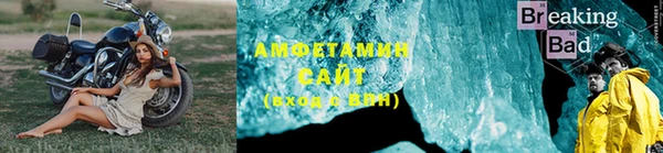 крисы Абаза