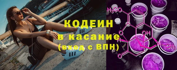 крисы Абаза