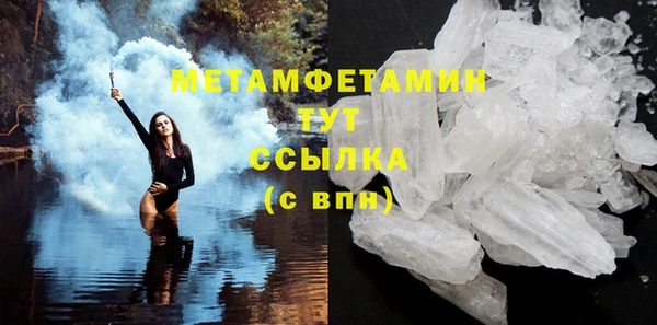 крисы Абаза