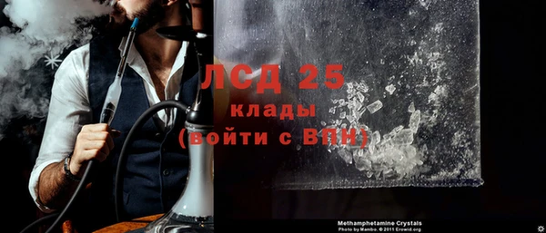 крисы Абаза