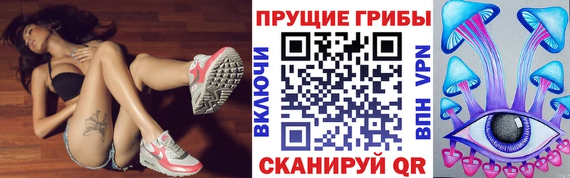 Псилоцибиновые грибы мицелий  Волоколамск 