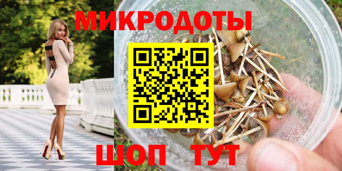 Галлюциногенные грибы Psilocybe  Вход с VPN  Волоколамск 